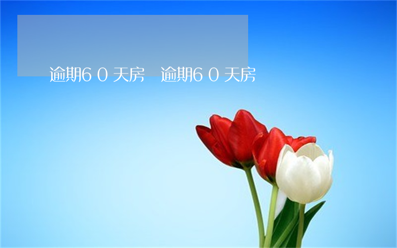 逾期60天房貸(逾期60天房貸)