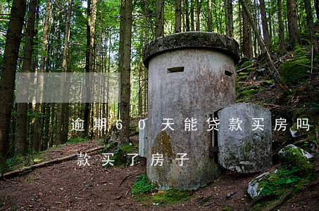 逾期60天能贷款买房吗(逾期90天以上贷款买了房子)