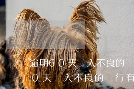 逾期60天計入不良的銀行有哪些-逾期60天計入不良的銀行有哪些影響