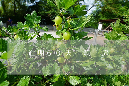逾期60天貸款買房