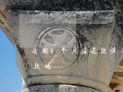 逾期6个月后还款顺序(逾期6天还能最低还款吗)