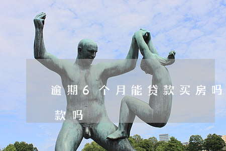 逾期6个月能贷款买房吗(逾期6个月还能贷款吗)
