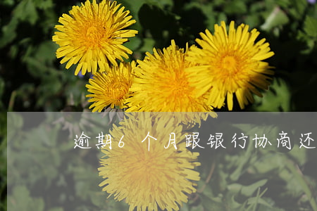 逾期6个月跟银行协商还款