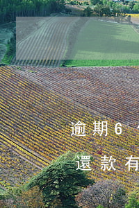 逾期6個(gè)月還款后還能用(逾期六天還款有事嗎)
