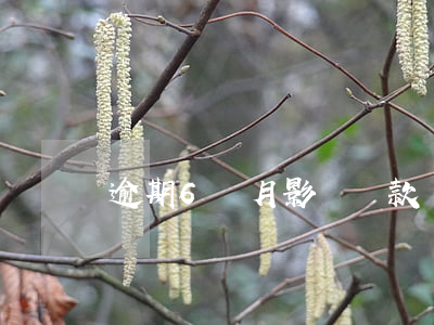 逾期6個月影響貸款嗎(有6個月逾期)