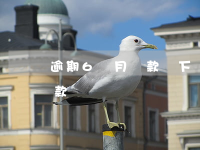 逾期6個月貸款辦下來了(逾期六個月還能貸款嗎)