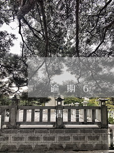 逾期6個月還能貸款嗎(信用卡逾期6個月還清后還能貸款嗎)