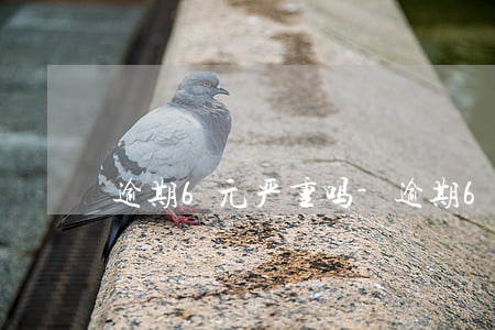 逾期6元严重吗-逾期600块