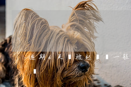 逾期6天會被起訴嗎(一般逾期幾個月會被起訴)