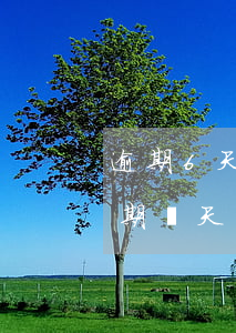 逾期6天還款會(huì)有影響嗎(還款逾期幾天有影響嗎)