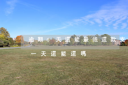 逾期6天還能最低還款(支付寶最低還款逾期一天還能還嗎)