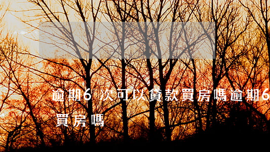 逾期6次可以貸款買房嗎(逾期6次可以貸款買房嗎)