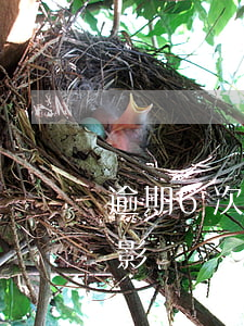 逾期6次對貸款有影響嗎(貸款有兩次逾期有影響嗎)