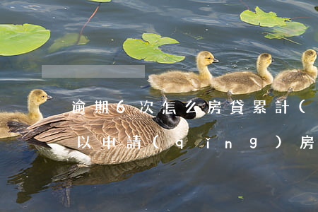 逾期6次怎么房貸(累計(jì)6次逾期可以申請(qǐng)房貸嗎)