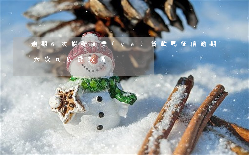 逾期6次能辦商業(yè)貸款嗎(征信逾期六次可以貸款嗎)