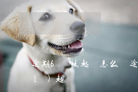 逾期6萬被起訴怎么辦(逾期五千元會(huì)起訴嗎)