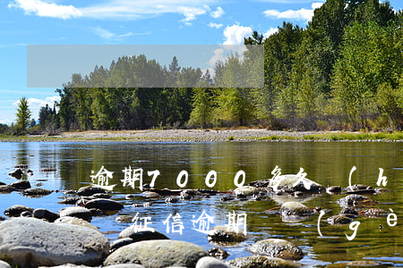 逾期7000多久會(huì)上征信黑名單(征信逾期幾個(gè)月會(huì)黑名單)