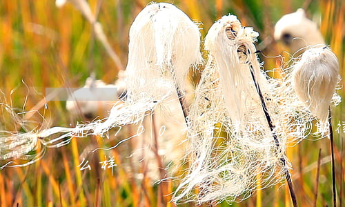 逾期700元寄律师函(逾期律师函不收会怎么样)