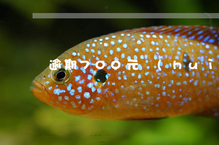 逾期700元會(huì)凍結(jié)嗎