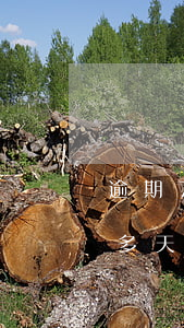 逾期700多天為什么不起訴-逾期700多天為什么不起訴