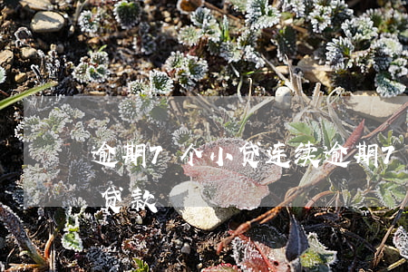 逾期7个小贷 连续逾期7个月哪个银行可以贷款