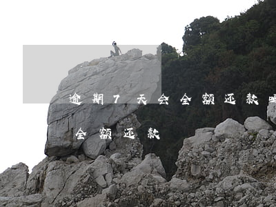 逾期7天会全额还款吗(支付宝逾期七天要求全额还款)