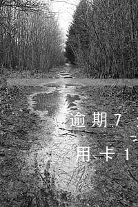 逾期7天信用卡停用了怎么恢復(fù)(信用卡11元逾期7天會上征信)