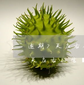 逾期7天左右征信會影響到老婆嗎-逾期7天左右征信會影響到老婆嗎知乎