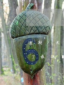 逾期7天還能最低還款嗎(信用卡逾期六天還了最低還款還可以用嗎)