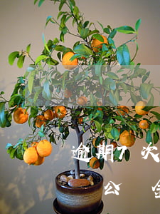 逾期7次公積金能貸款嗎(征信逾期7次無法貸公積金)