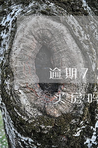 逾期7次可以会下房贷吗(贷款逾期7个月能买房吗)