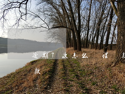 逾期7次怎么辦理貸款(征信逾期7次可以貸款嗎)