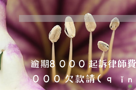 逾期8000起訴律師費(fèi)多少(8000欠款請(qǐng)律師多少錢)