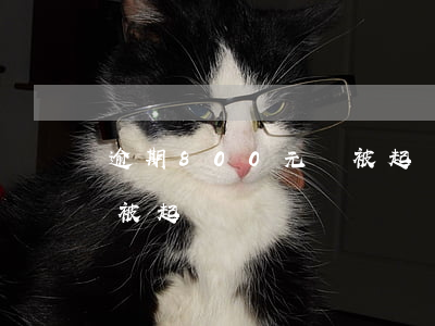 逾期800元會被起訴嗎（逾期四百多塊錢會被起訴嗎）