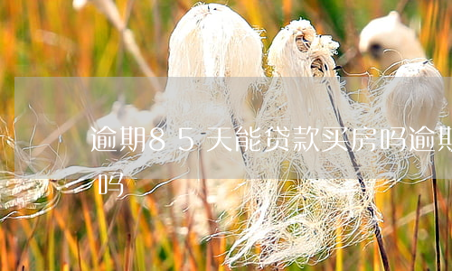 逾期85天能贷款买房吗(逾期五六次能买房吗)