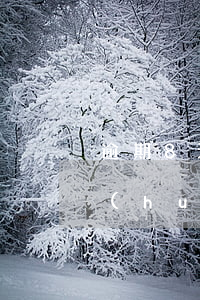 逾期8天會(huì)被起訴嗎(逾期8天會(huì)被起訴嗎)