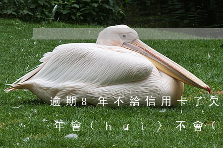 逾期8年不給信用卡了(欠信用卡八千逾期八年會(huì)不會(huì)被起訴)