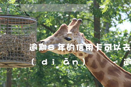 逾期8年的信用卡可以去網(wǎng)點(diǎn)還嗎-逾期8年的信用卡可以去網(wǎng)點(diǎn)還嗎