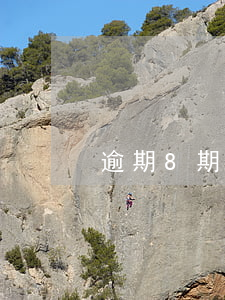 逾期8期是多久(逾期八次怎么辦)