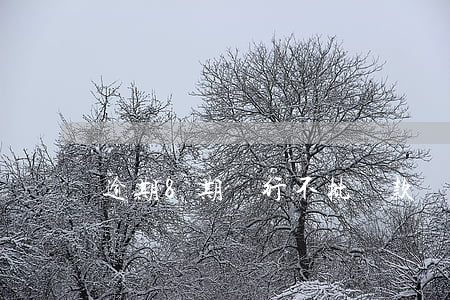 逾期8期銀行不批貸款