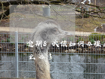 逾期8次该如何办理房贷(房贷逾期八个月怎么办)