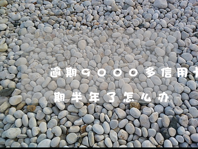 逾期9000多信用卡(信用卡欠9000逾期半年了怎么办)