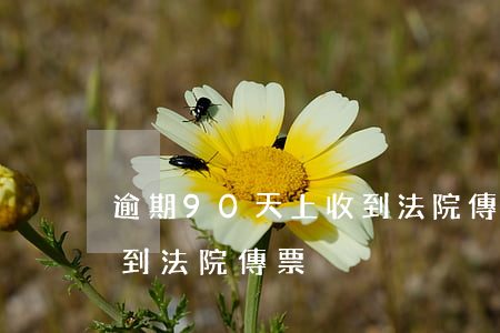逾期90天上收到法院傳票(逾期90天上收到法院傳票)
