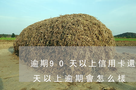逾期90天以上信用卡還款順序(信用卡90天以上逾期會怎么樣)