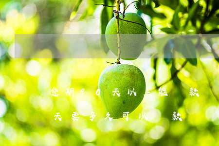逾期90天以上能貸款嗎(征信逾期超過90天要多久可以貸款)
