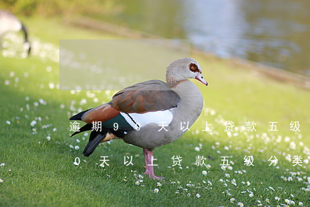 逾期90天以上贷款五级分类文件-逾期90天以上贷款五级分类不优于