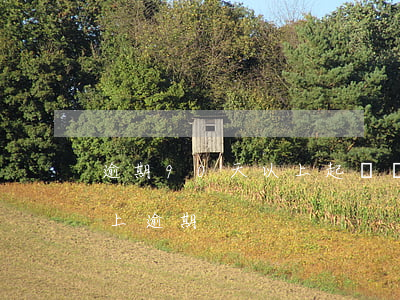 逾期90天以上起訴(發(fā)生90天以上逾期)