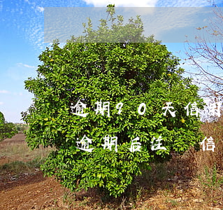 逾期90天信用卡強(qiáng)制注銷(逾期后注銷信用卡后果嚴(yán)重)