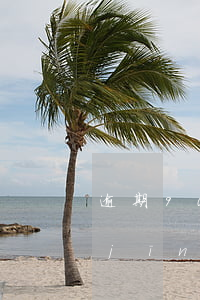 逾期90天信用卡怎么辦(信用卡逾期已經(jīng)90天了,什么時(shí)候會(huì)執(zhí)行)