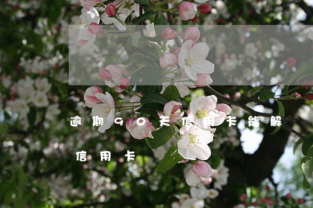逾期90天信用卡能解凍嗎(逾期90天以上信用卡)